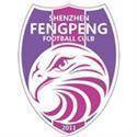 ShenzhenFengpeng